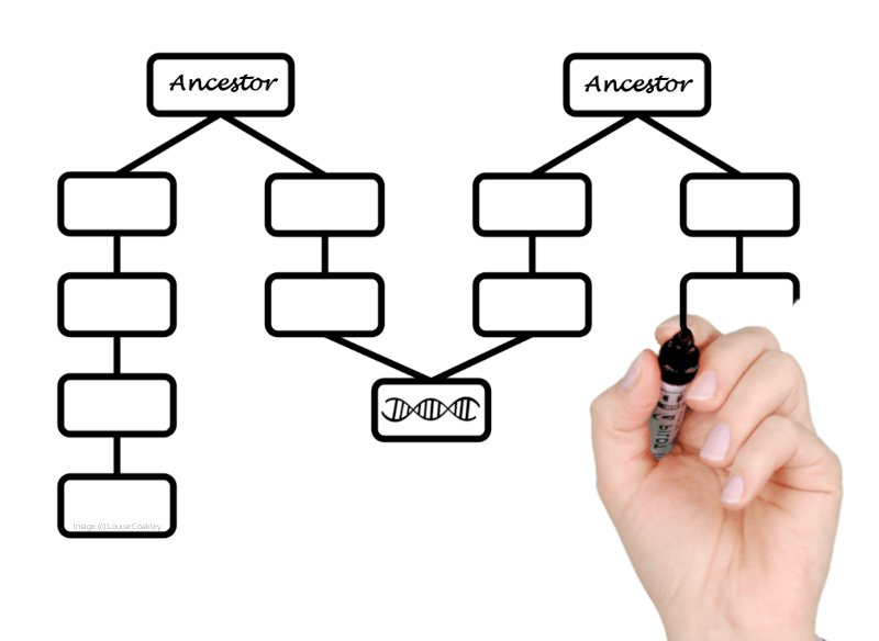 What is an AncestryDNA test? - Genie1 Genetic Genealogy