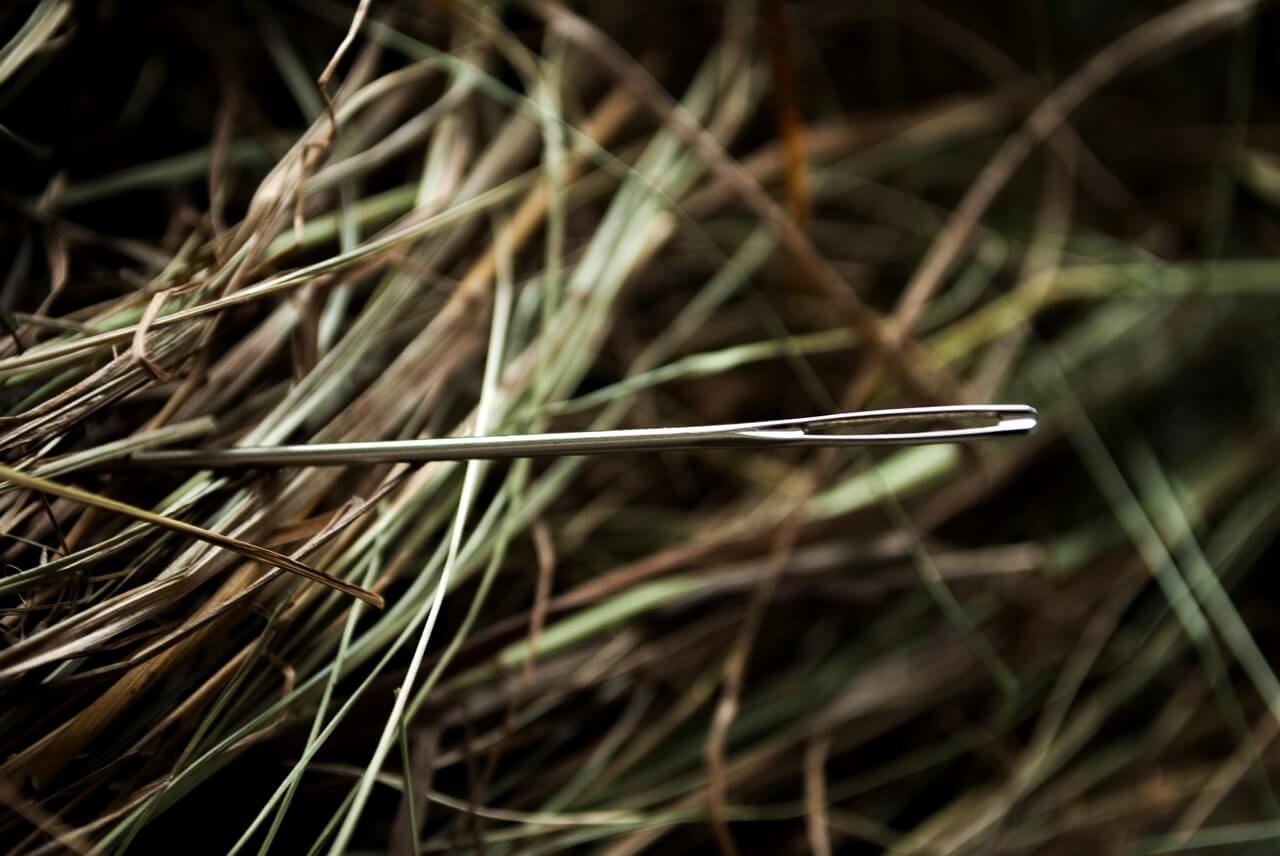 How your DNA can help identify human remains and solve cold cases ...