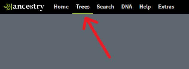 Ancestry page showing the Trees tab in the top menu