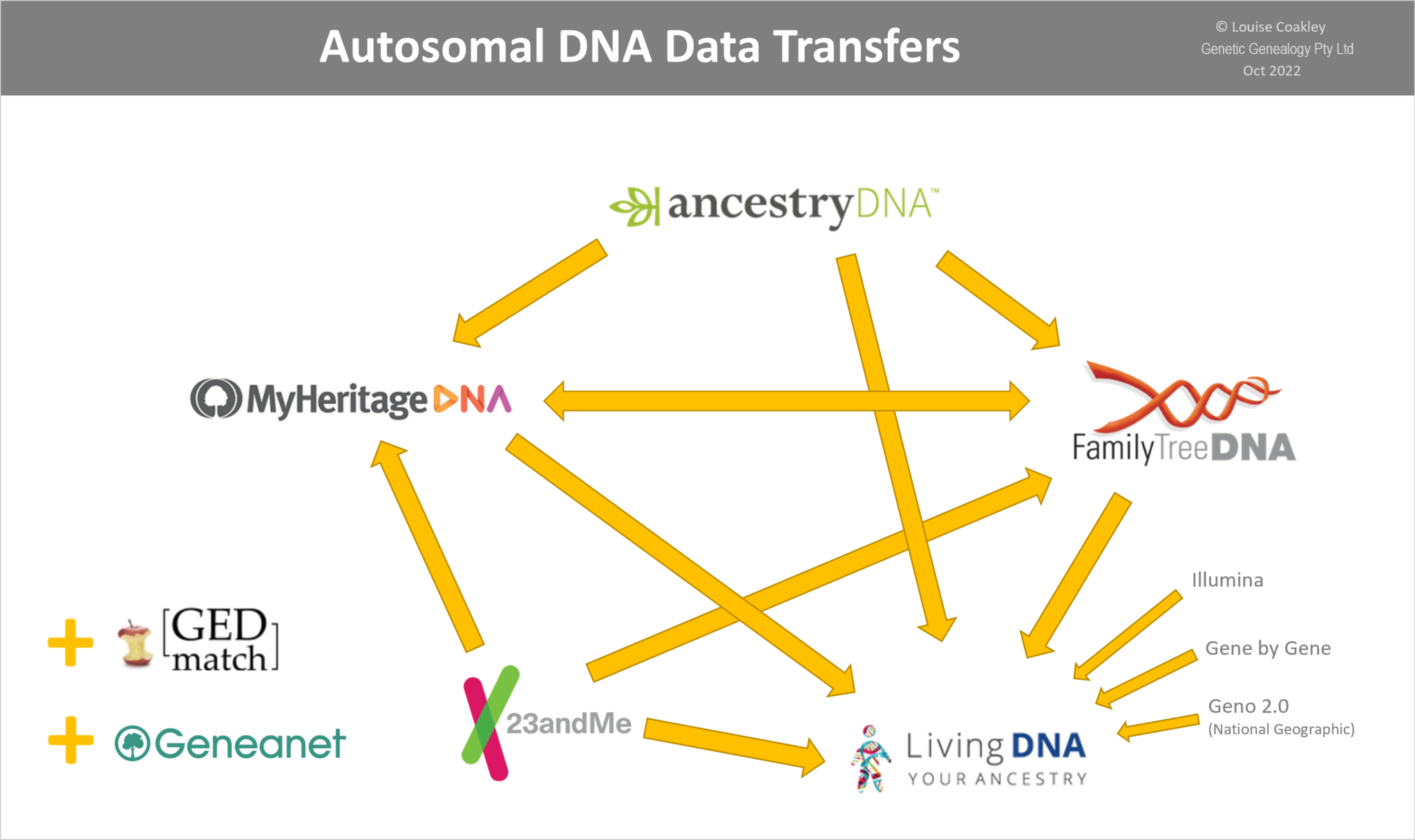 Which DNA Testing Company Should I Use? - Genie1 Genetic Genealogy