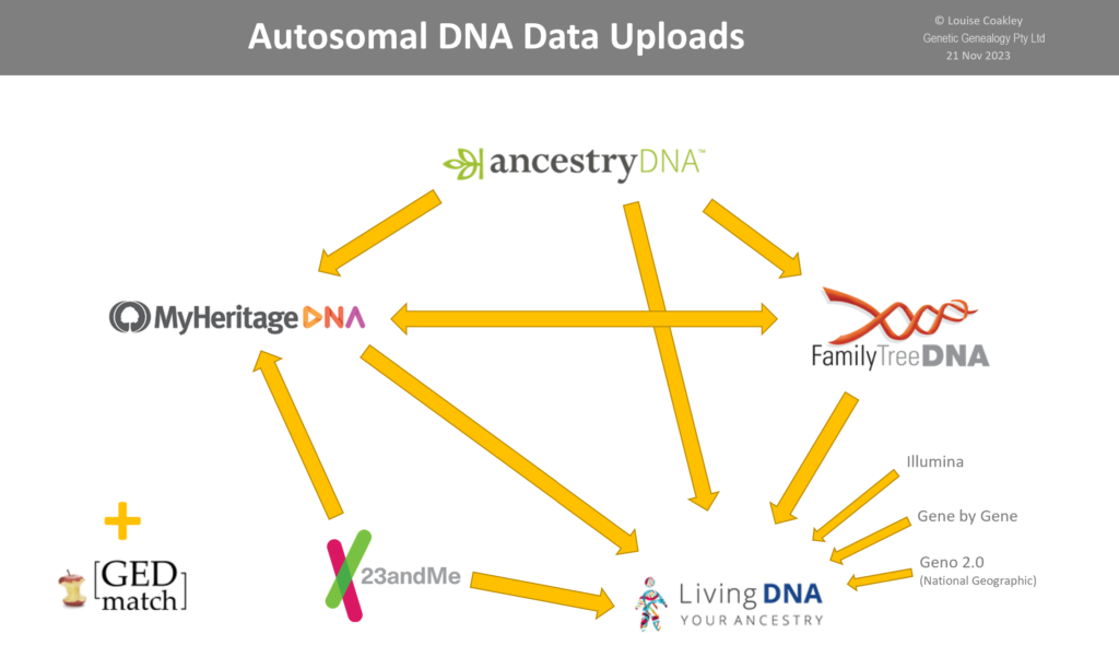 Autosomal-DNA-Data-Uploads-Chart-byLouiseCoakley-21Nov2023
