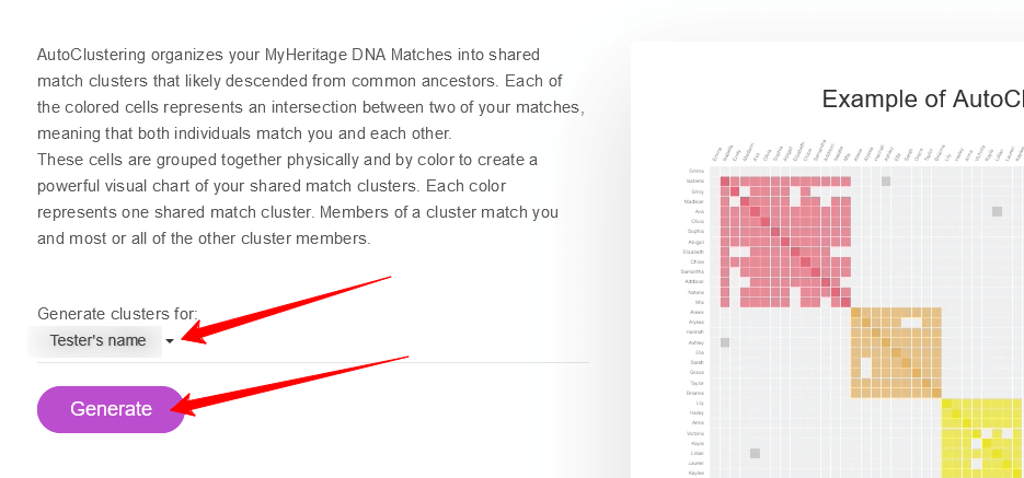 MyHeritage DNA AutoClusters explore button