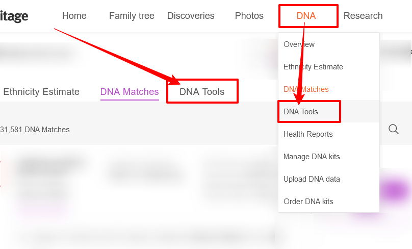 MyHeritage DNA Tools Menu options