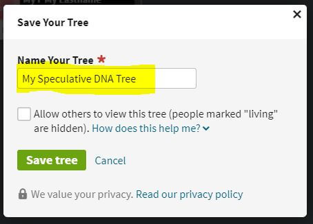 Name and save your new Ancestry tree