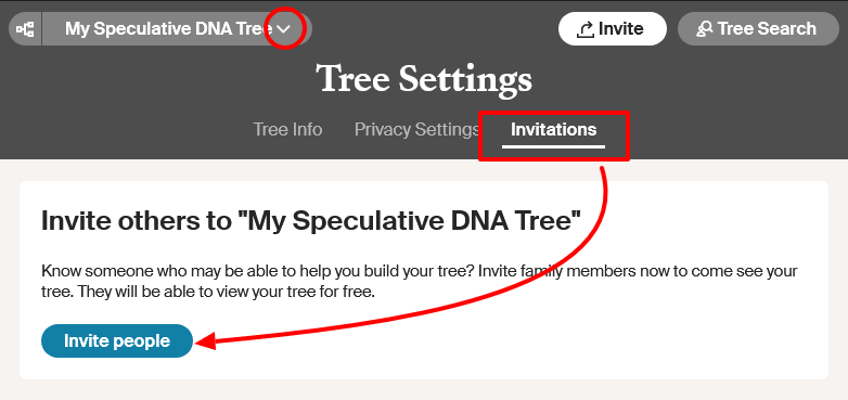 On the Ancestry Tree Settings page with an arrow pointing to the Sharing tab