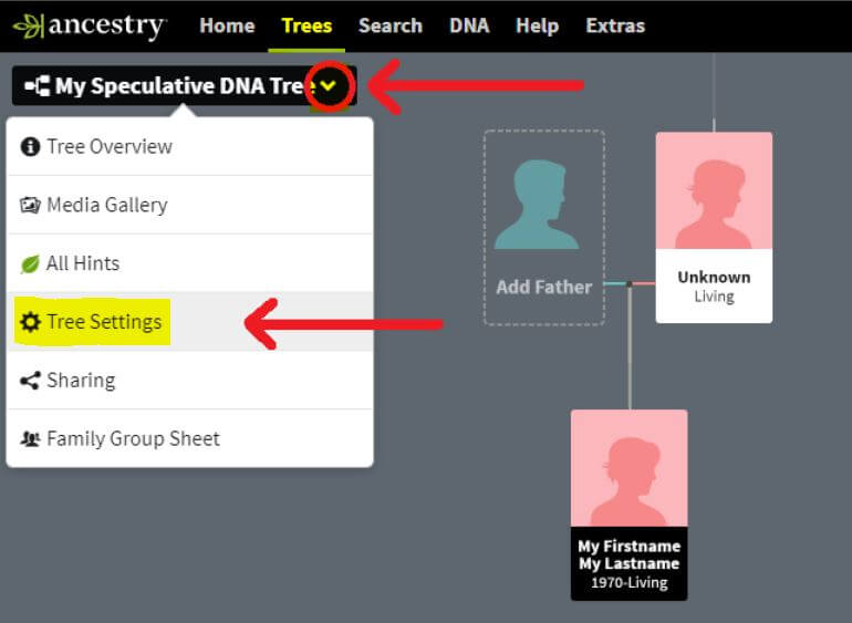 Ancestry family tree menu showing Tree Settings option